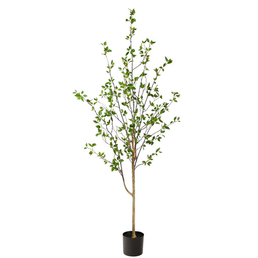 Árbol de cítricos minimalista de 6,5 pies