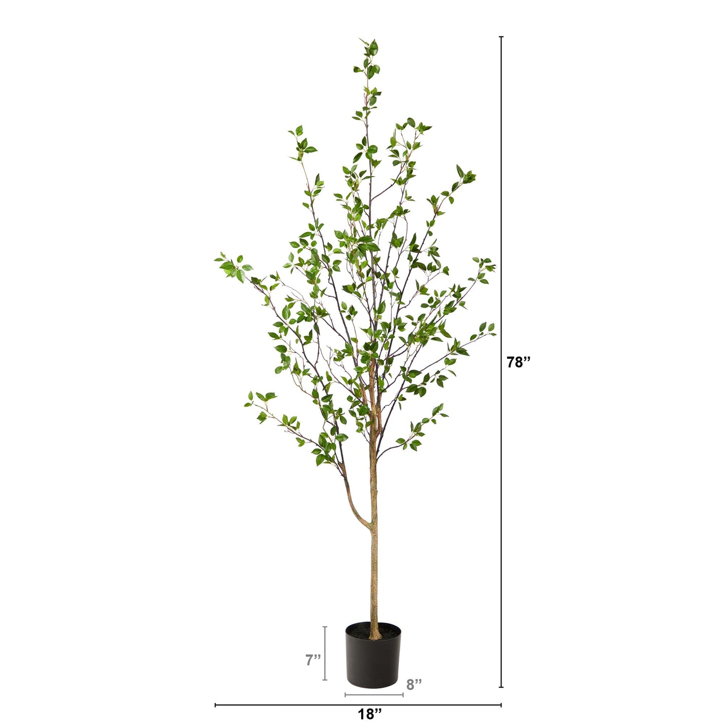 Árbol de cítricos minimalista de 6,5 pies