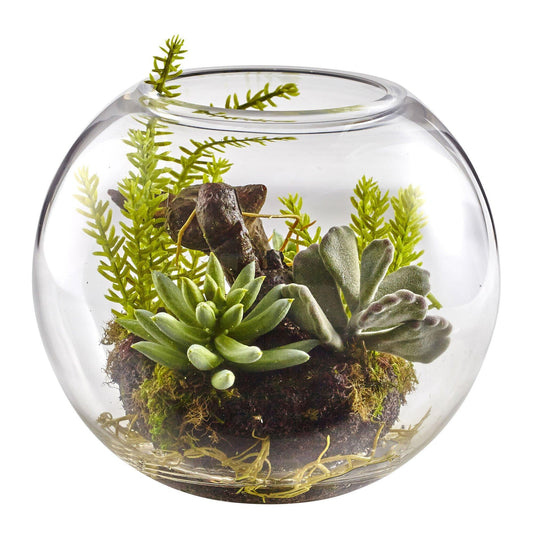 Jardin de plantes succulentes mixtes de 6,5 po avec vase en verre