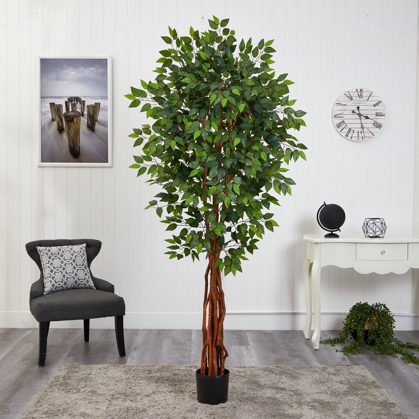 Árbol ficus artificial de lujo de 6,5 pies con tronco natural