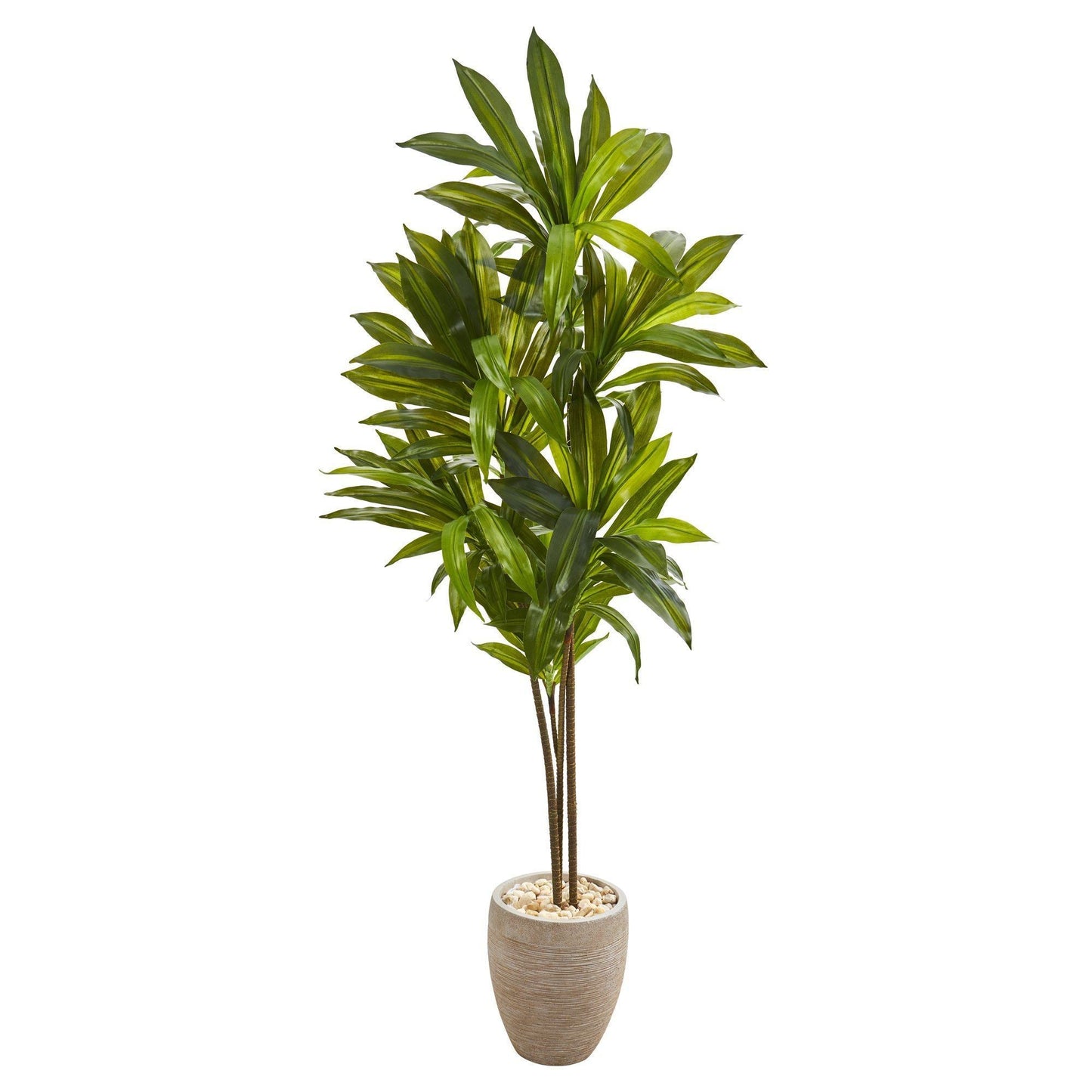 Plante artificielle Dracaena de 68 po dans une jardinière couleur sable (Real Touch)