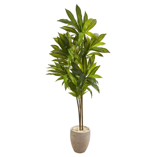 Plante artificielle Dracaena de 68 po dans une jardinière couleur sable (Real Touch)