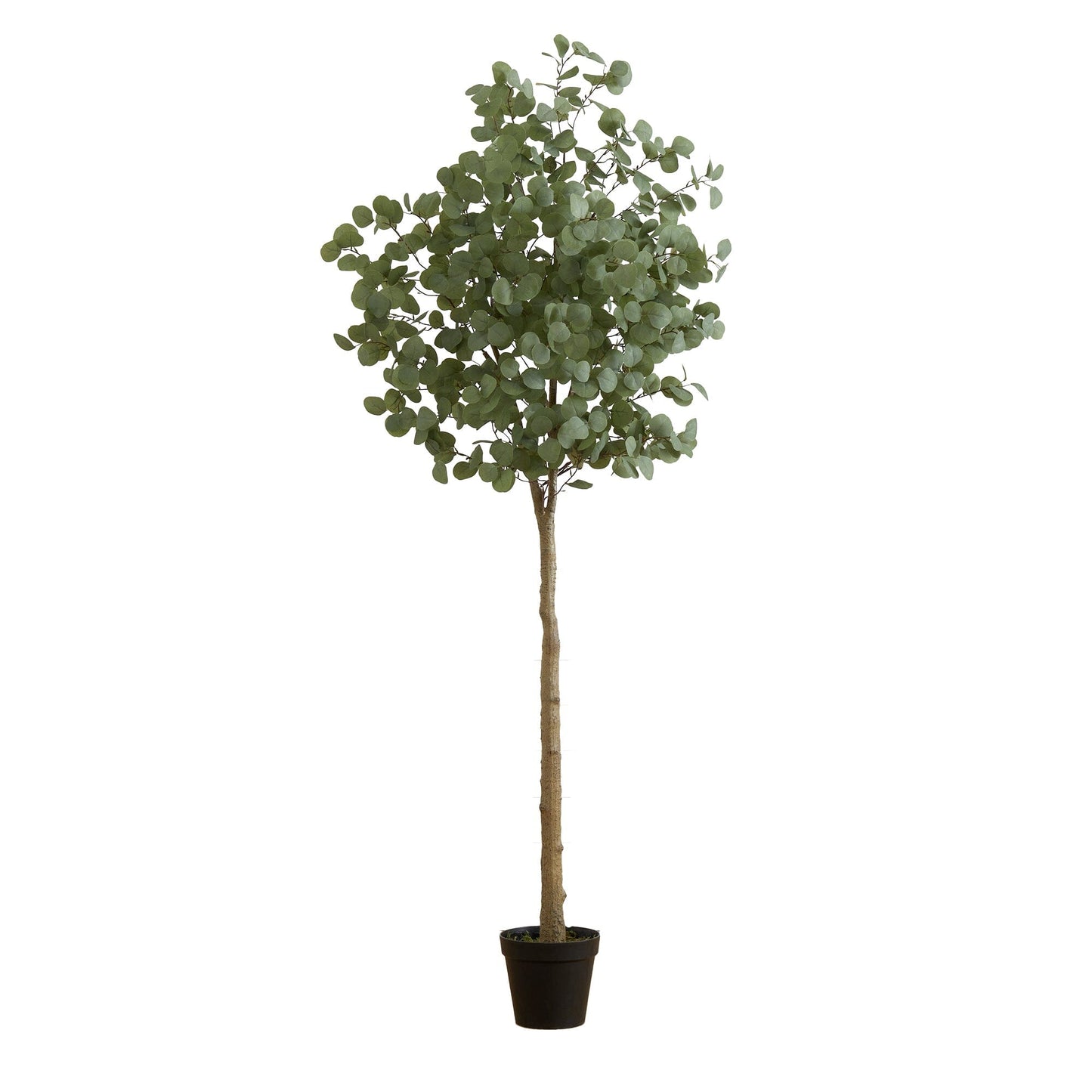 Arbre d'eucalyptus artificiel de 7 pieds