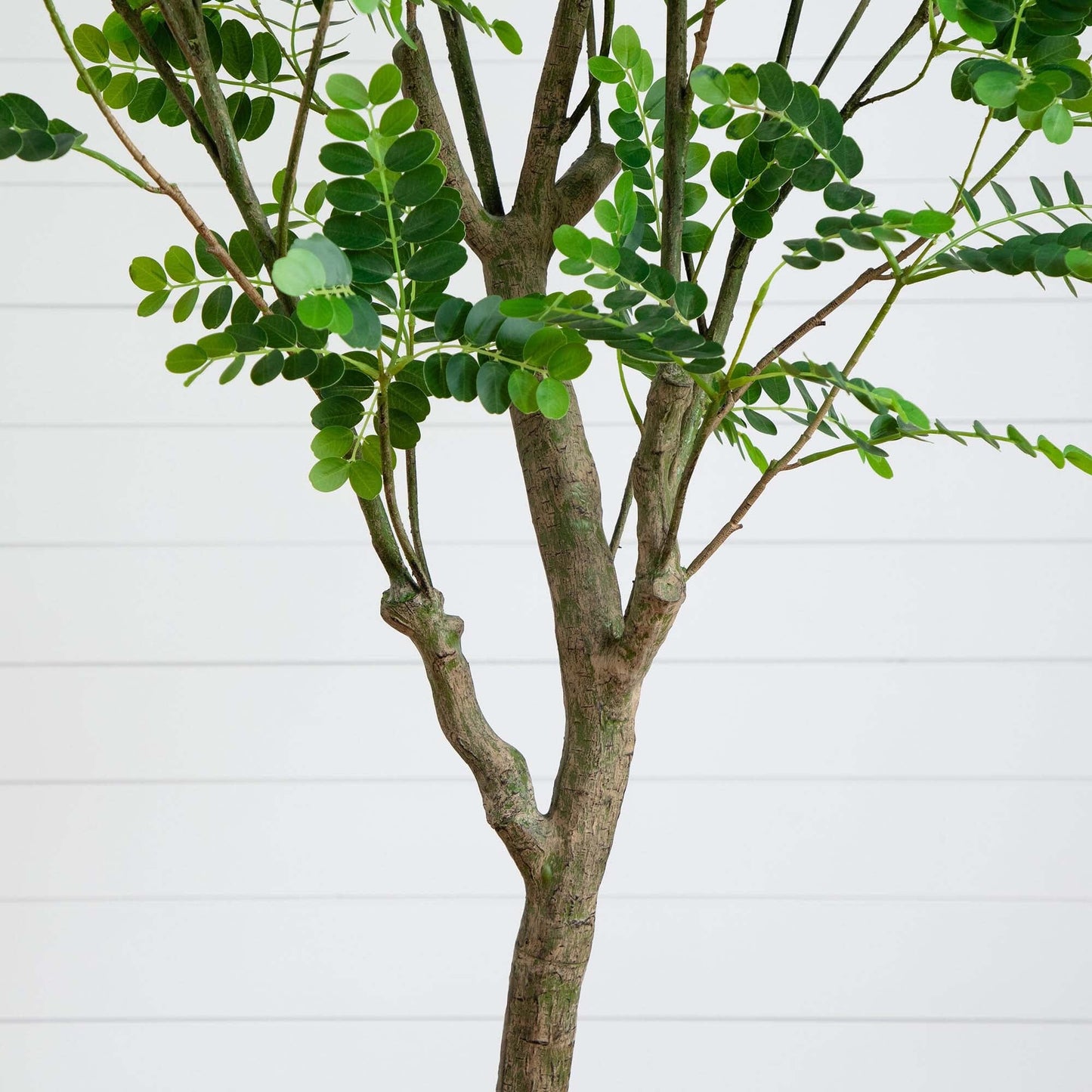 7' Artificial Greco Citrus Tree with Real Touch Leaves