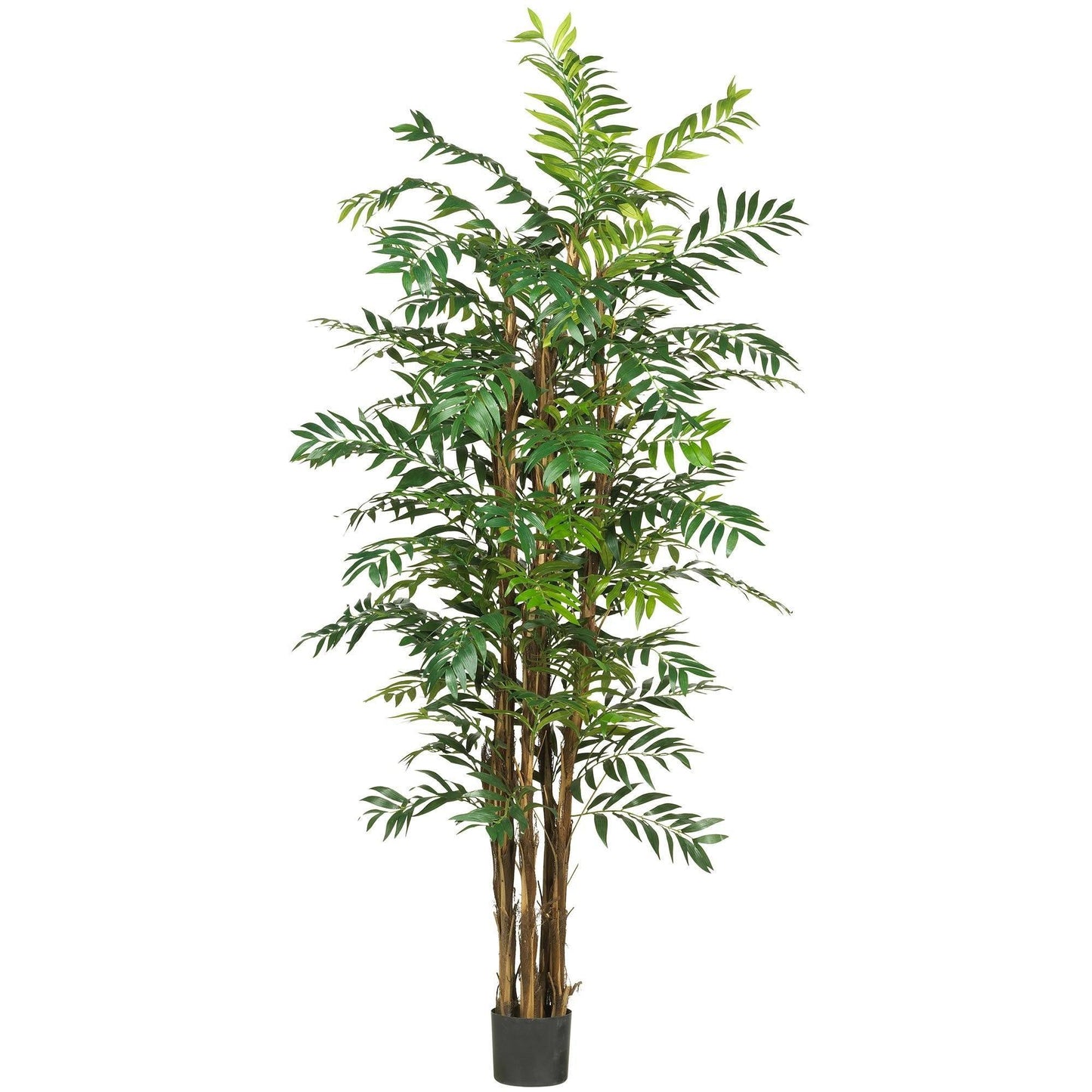 7' Bamboo Palm Silk Tree