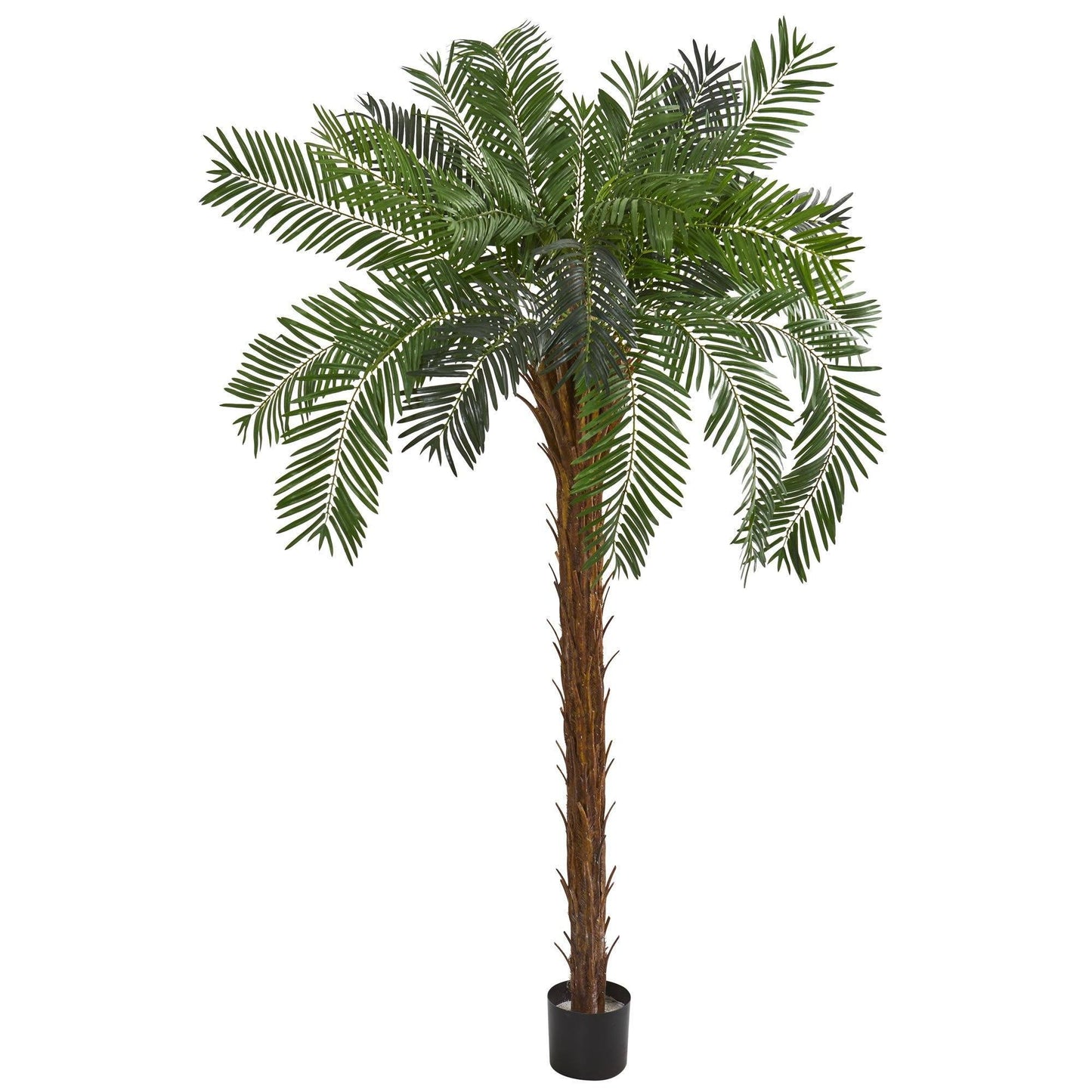 Palmier Cycas artificiel de 7 pieds