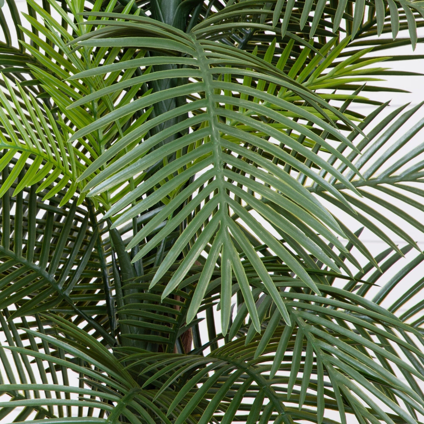 Palmera Robellini doble de 7 pies resistente a los rayos UV (interior/exterior)