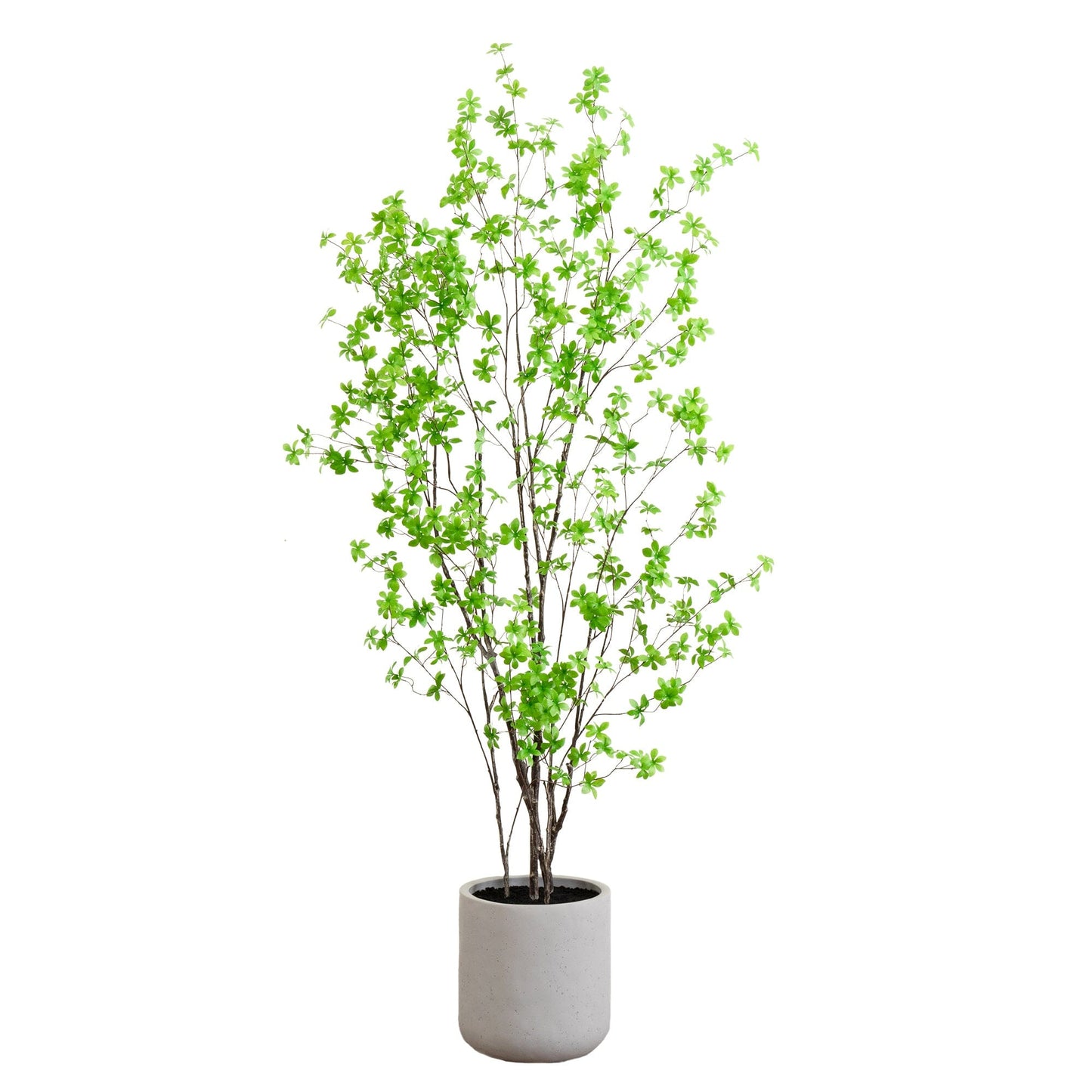 7’ Artificial Enkianthus Tree with Resin Stone Planter