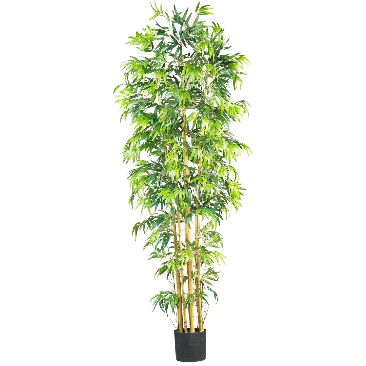 Arbre en soie de bambou Multi Bambusa de 7 pi