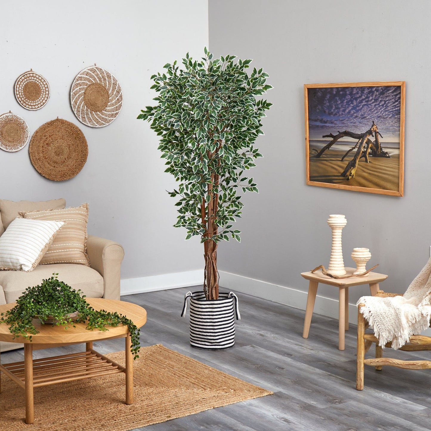 70” Variegated Ficus Tree in Handmade Black and White Natural Jute and Cotton Planter UV Resistant