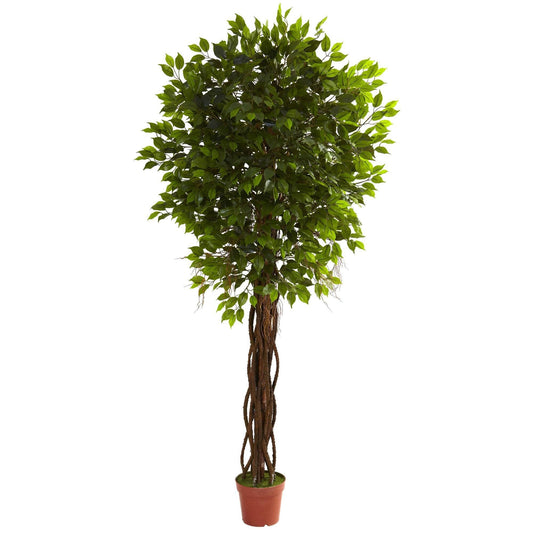 Arbre ficus de 7,5 pi résistant aux UV (intérieur/extérieur)