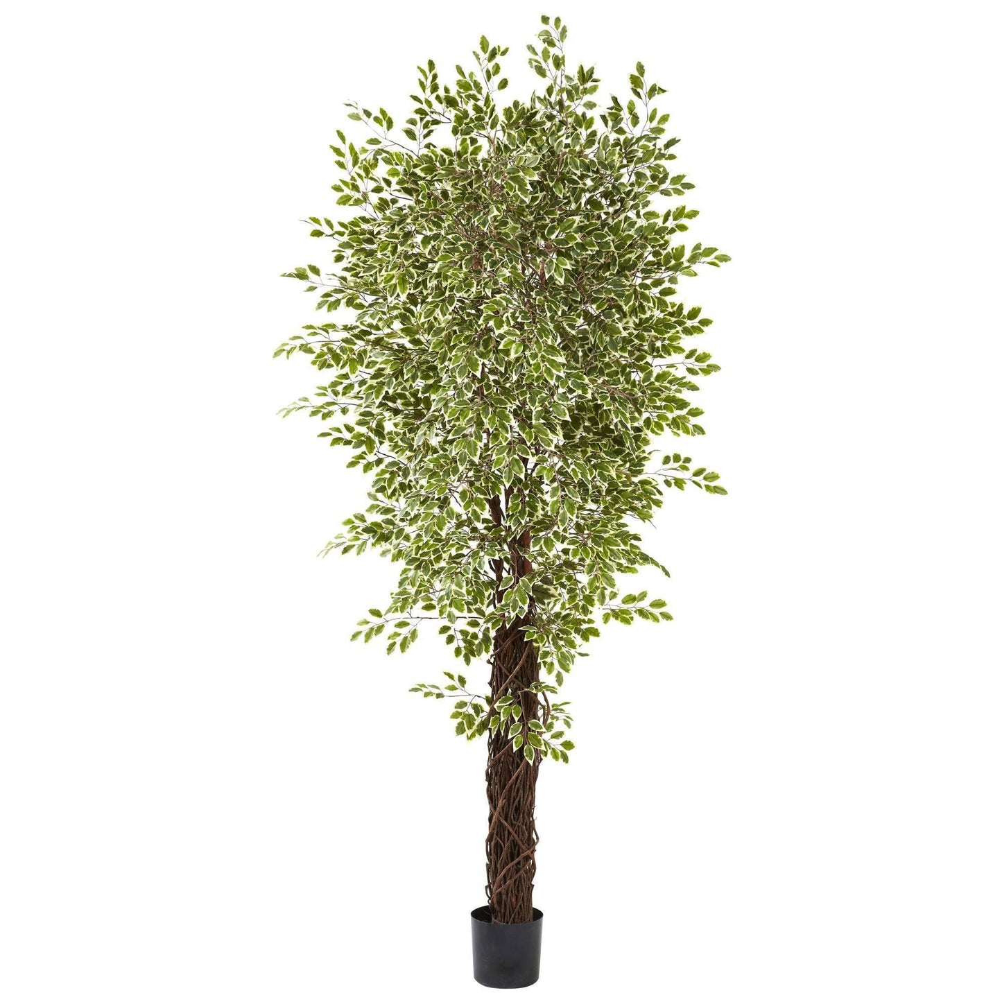 Mini arbre en soie Ficus panaché de 7,5 pi