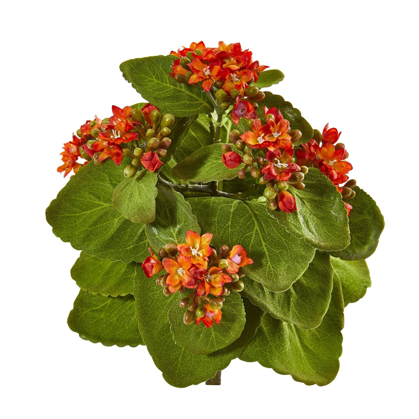 Arbusto de flores artificiales Kalanchoe de 8" (juego de 6)