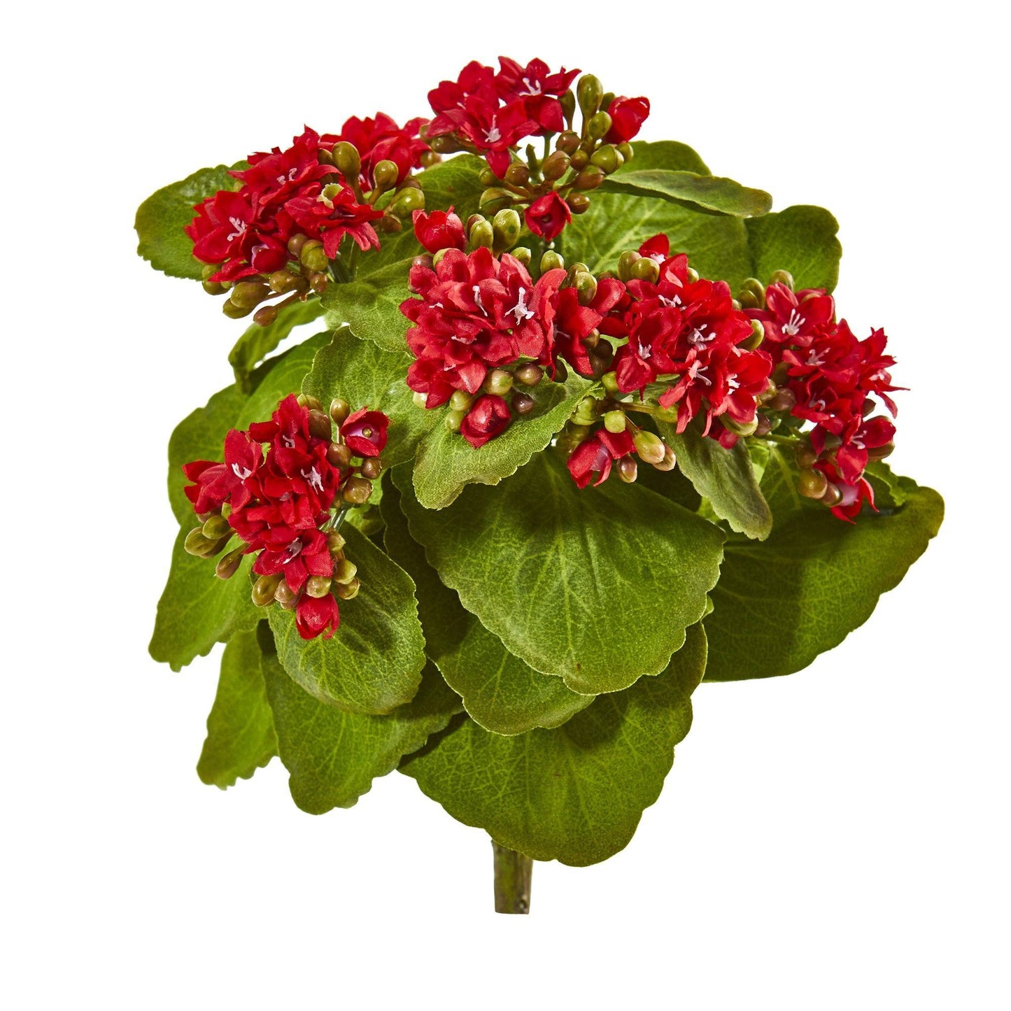 Arbusto de flores artificiales Kalanchoe de 8" (juego de 6)