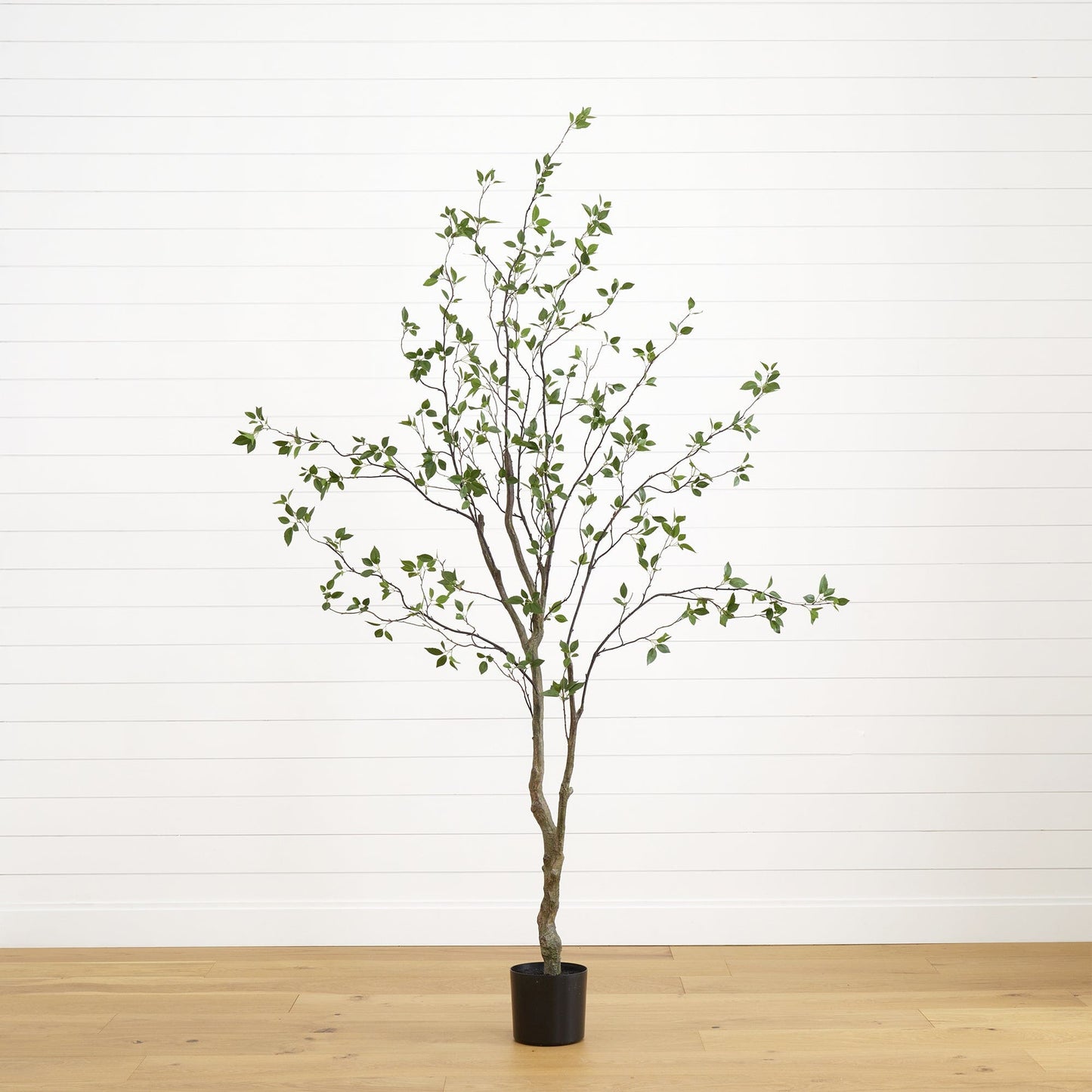 8' Minimalist Citrus Artificial Tree