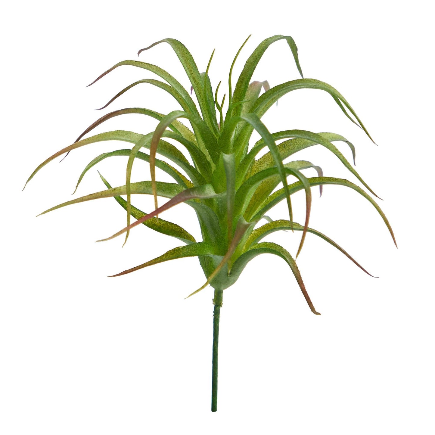 Tillandsia artificial de 20 cm (juego de 12)