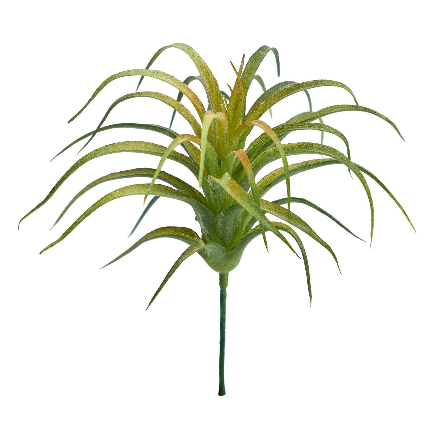 Tillandsia artificial de 20 cm (juego de 12)