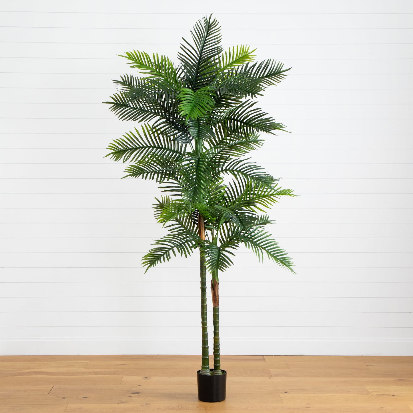 8’ UV Resistant Artificial Double Robellini Palm Tree (Indoor/Outdoor)