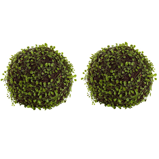 9” Mohlenbechia Ball (Set of 2)