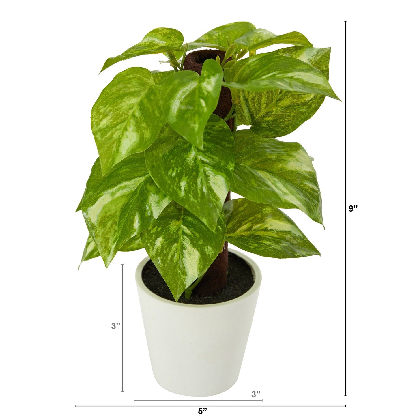 Plante artificielle Pothos de 9 po dans une jardinière blanche (Real Touch)