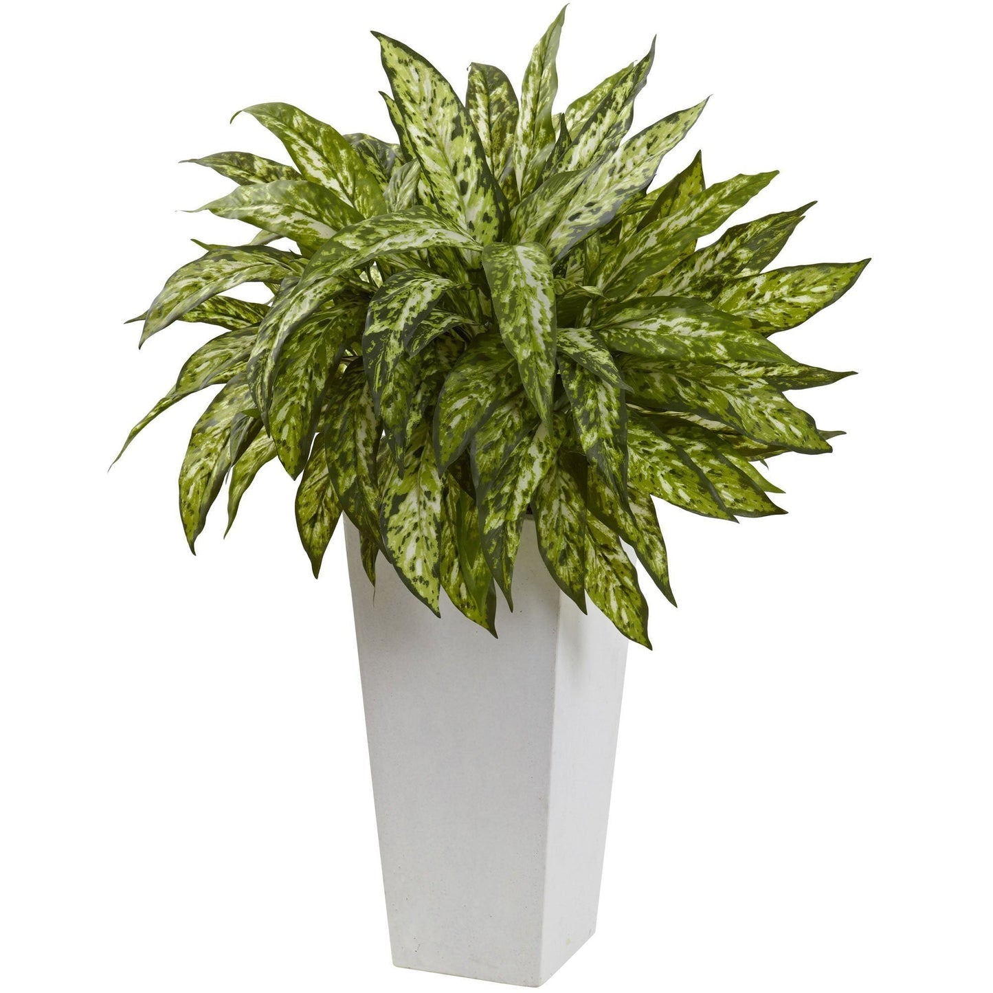 Aglaonema con macetero decorativo blanco