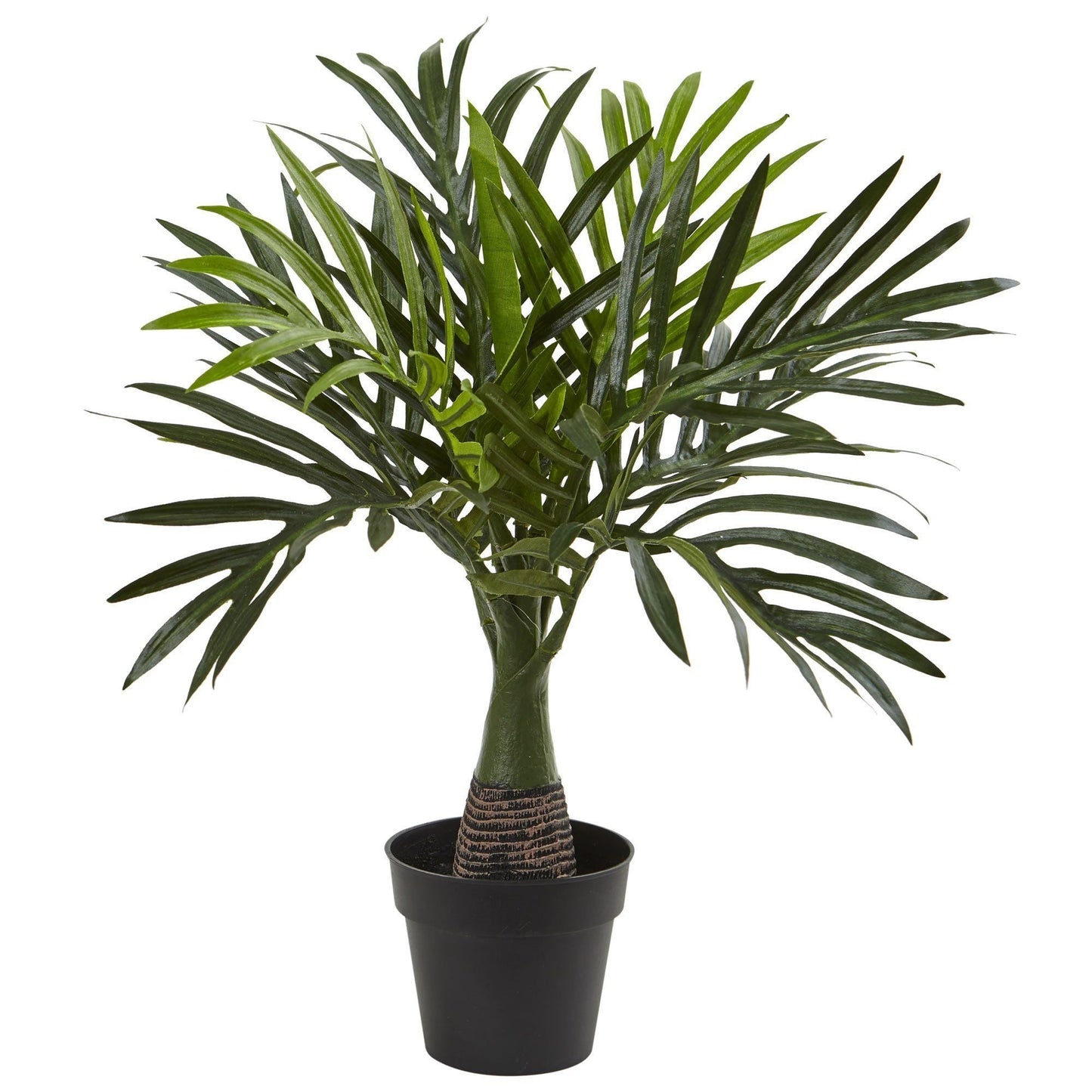 Areca, Fontaine et Bananier (Lot de 3)