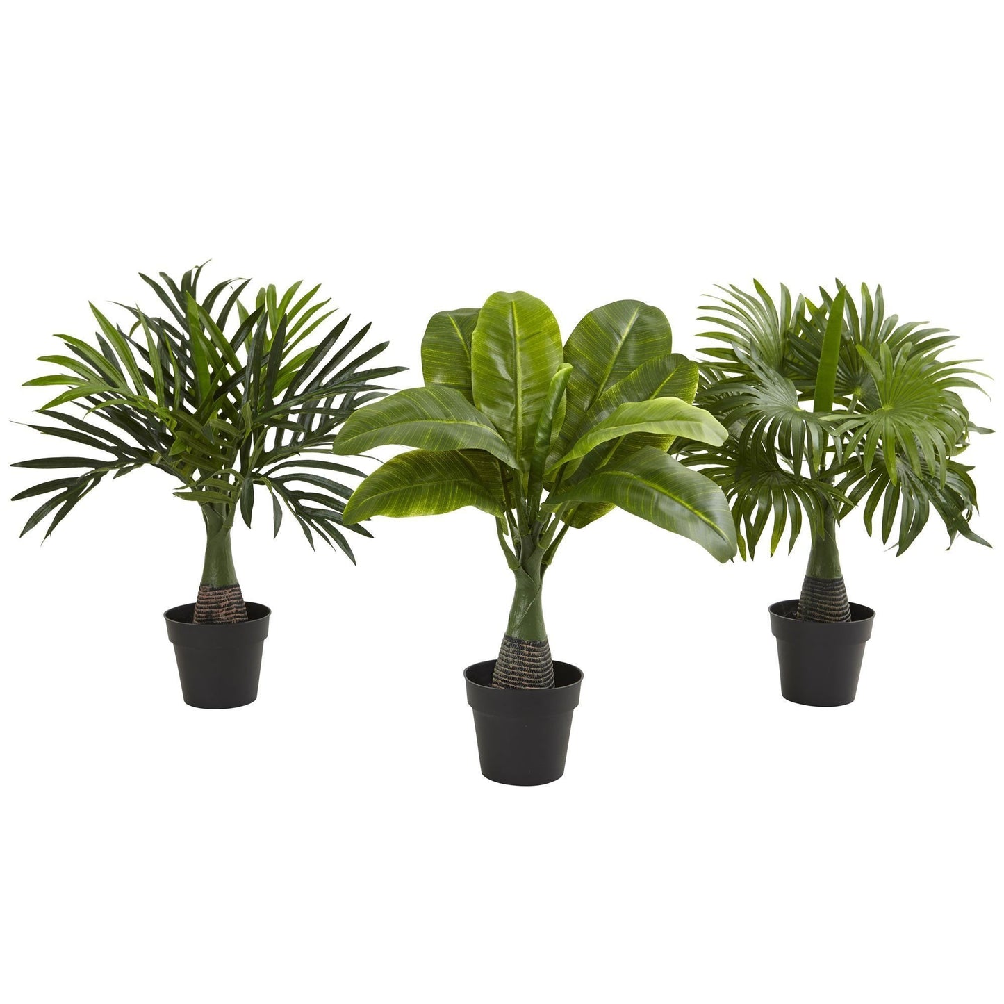 Areca, Fontaine et Bananier (Lot de 3)