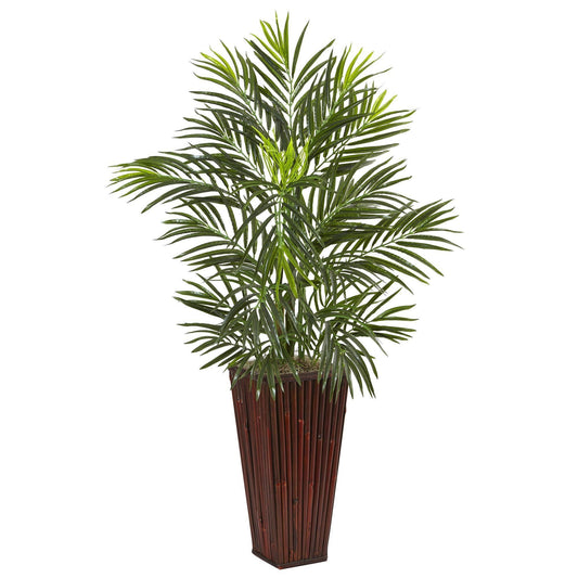 Palma de areca en macetero de bambú