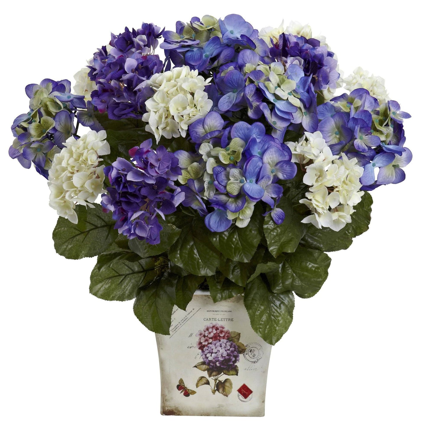 Hortensia bleu, violet et blanc avec jardinière florale