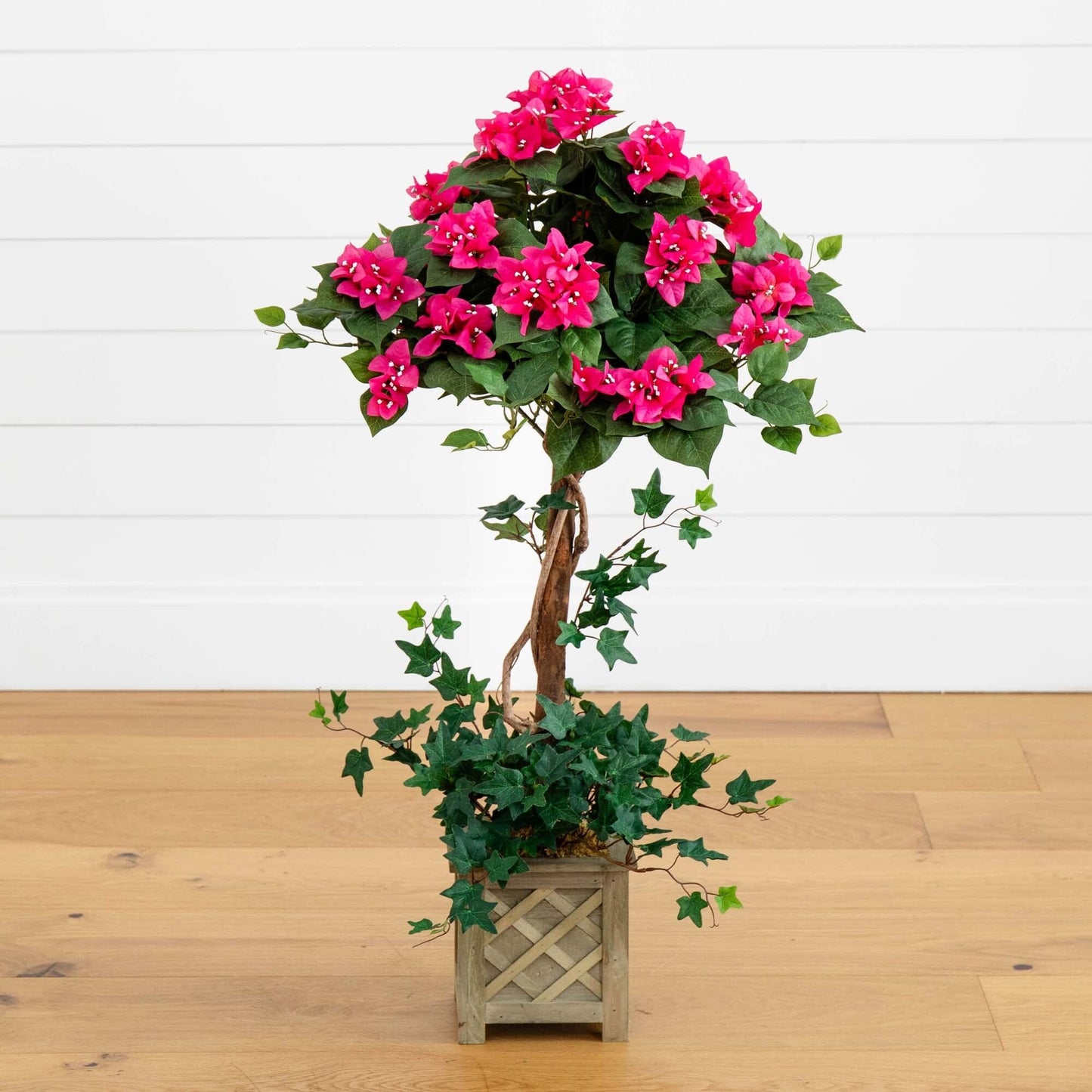 Topiaire de bougainvilliers avec boîte en bois