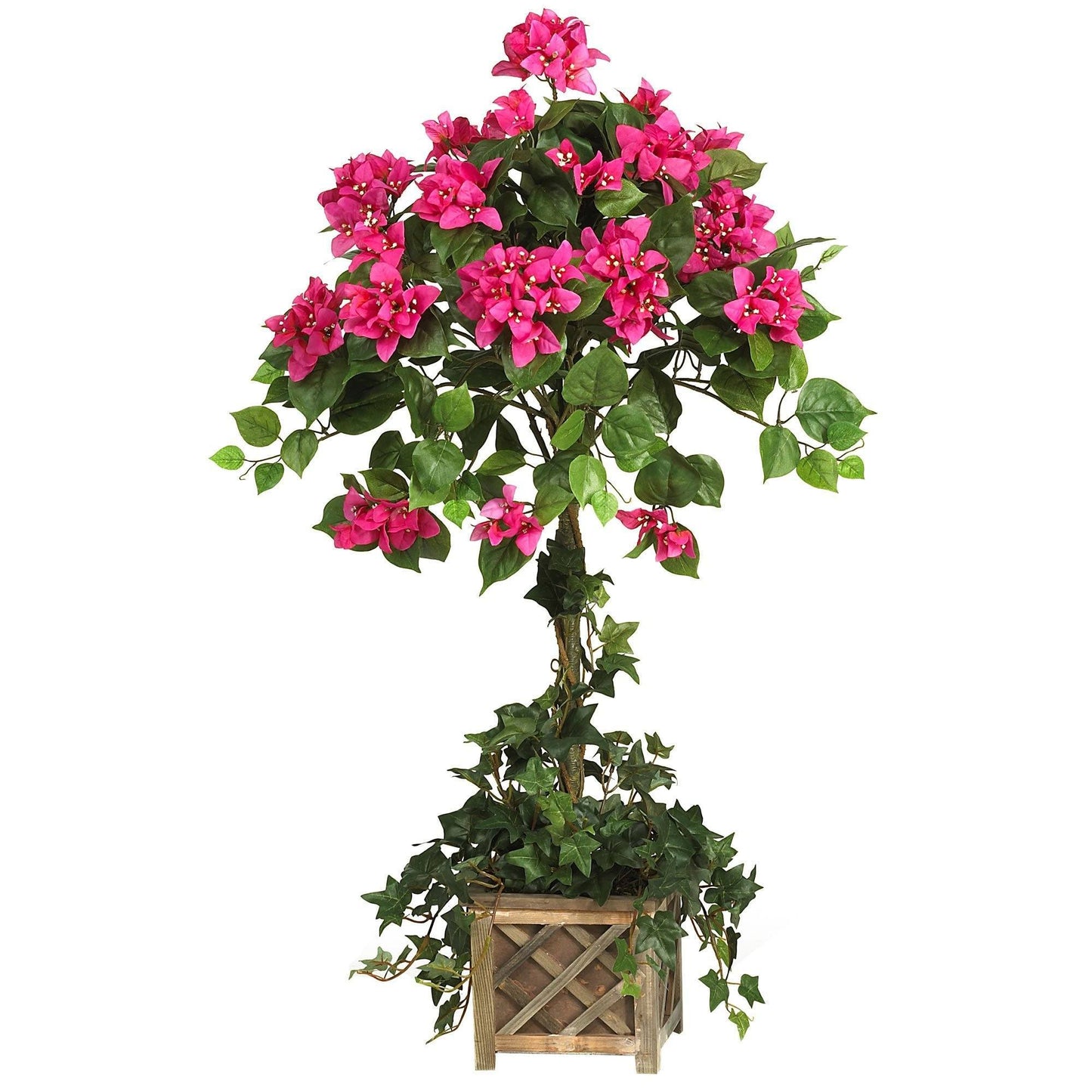 Topiaire de bougainvilliers avec boîte en bois