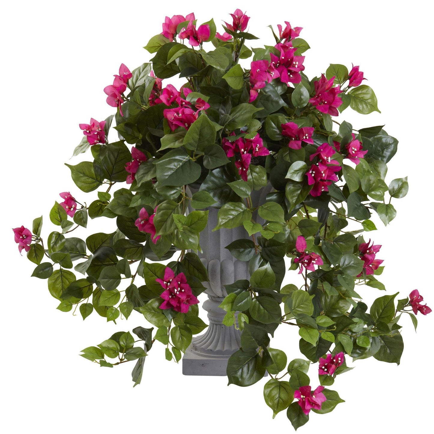 Bougainvillier avec urne décorative