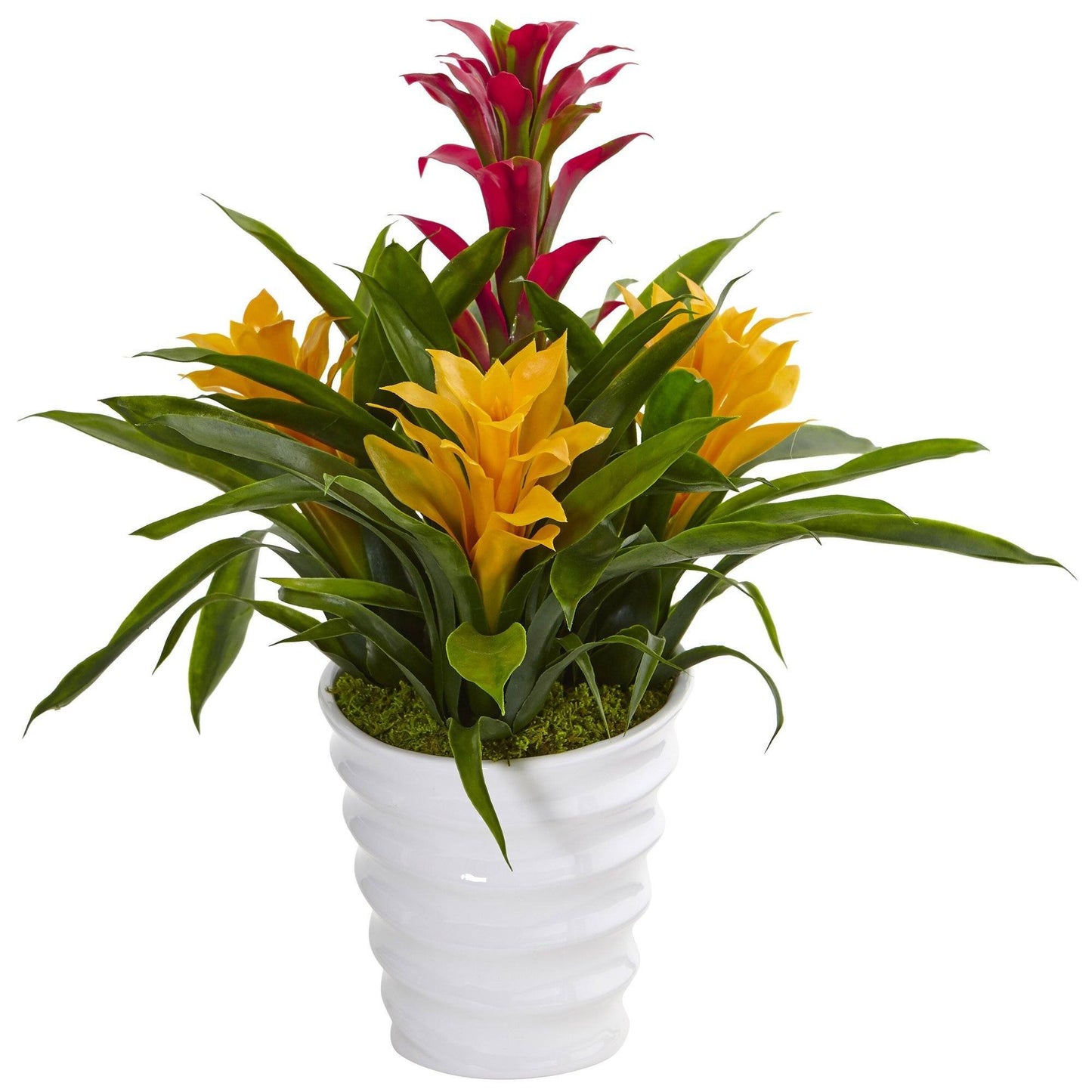 Bromelia en jarrón blanco con espirales