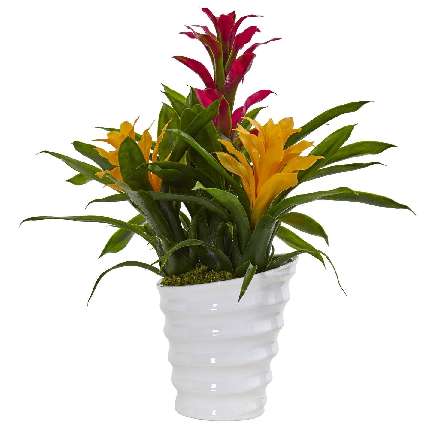 Bromelia en jarrón blanco con espirales