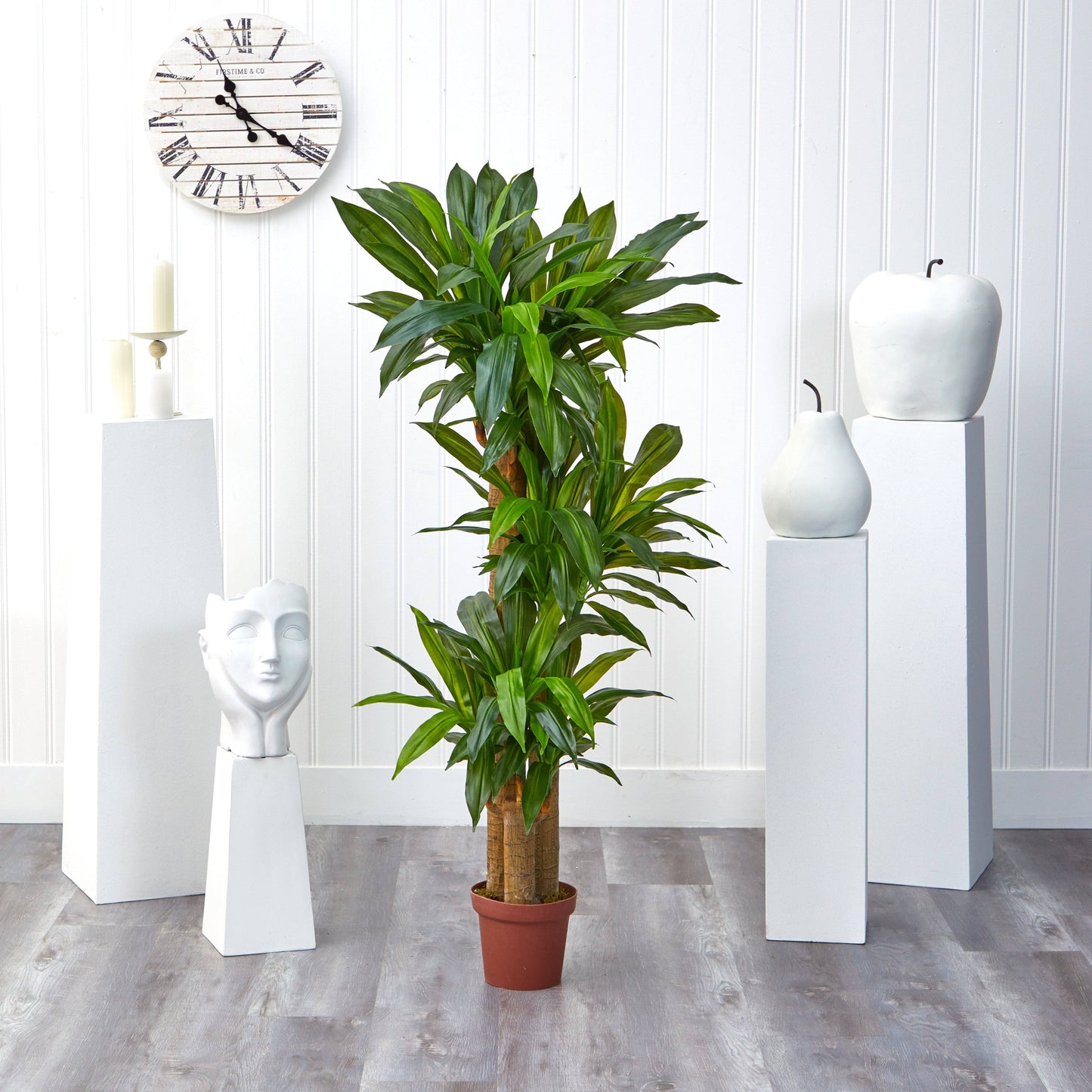 Tige de maïs Dracaena Silk Plant (Real Touch)