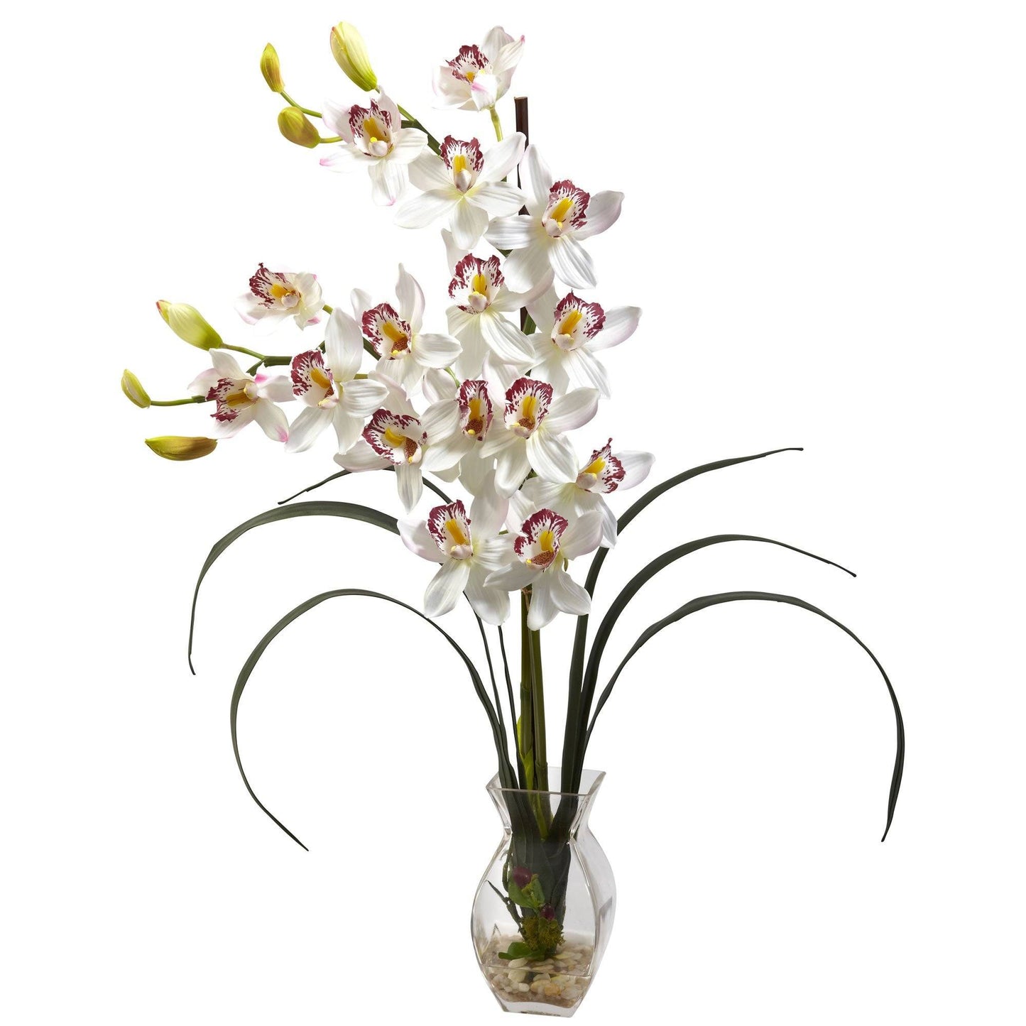 Orquídea Cymbidium con arreglo en jarrón