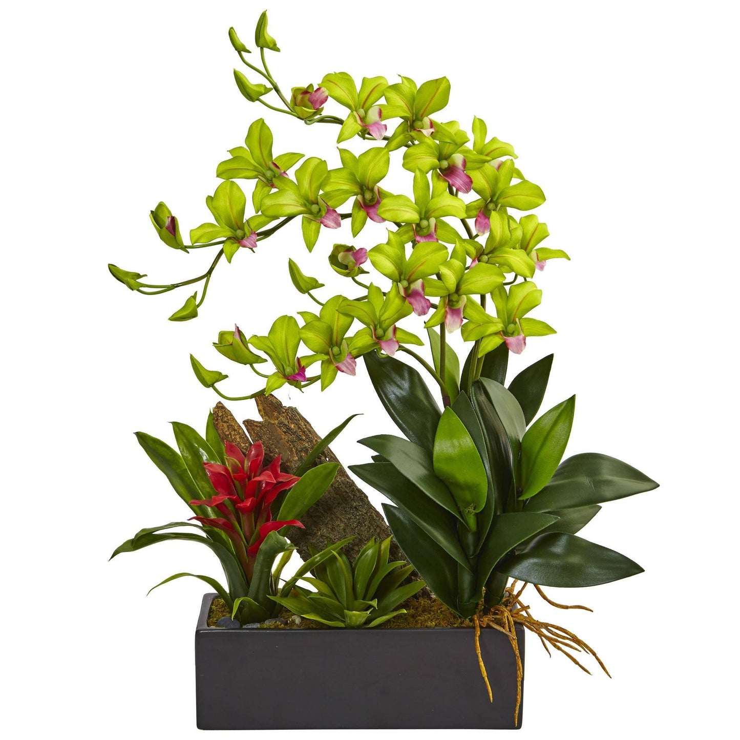 Dendrobium and Bromeliad Arrangement