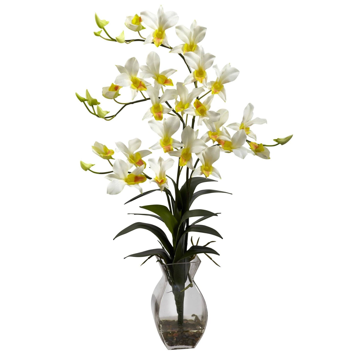 Orquídea Dendrobium con arreglo de jarrón