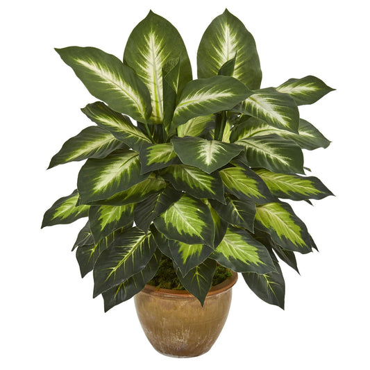 Plante artificielle Dieffenbachia dans un pot en céramique