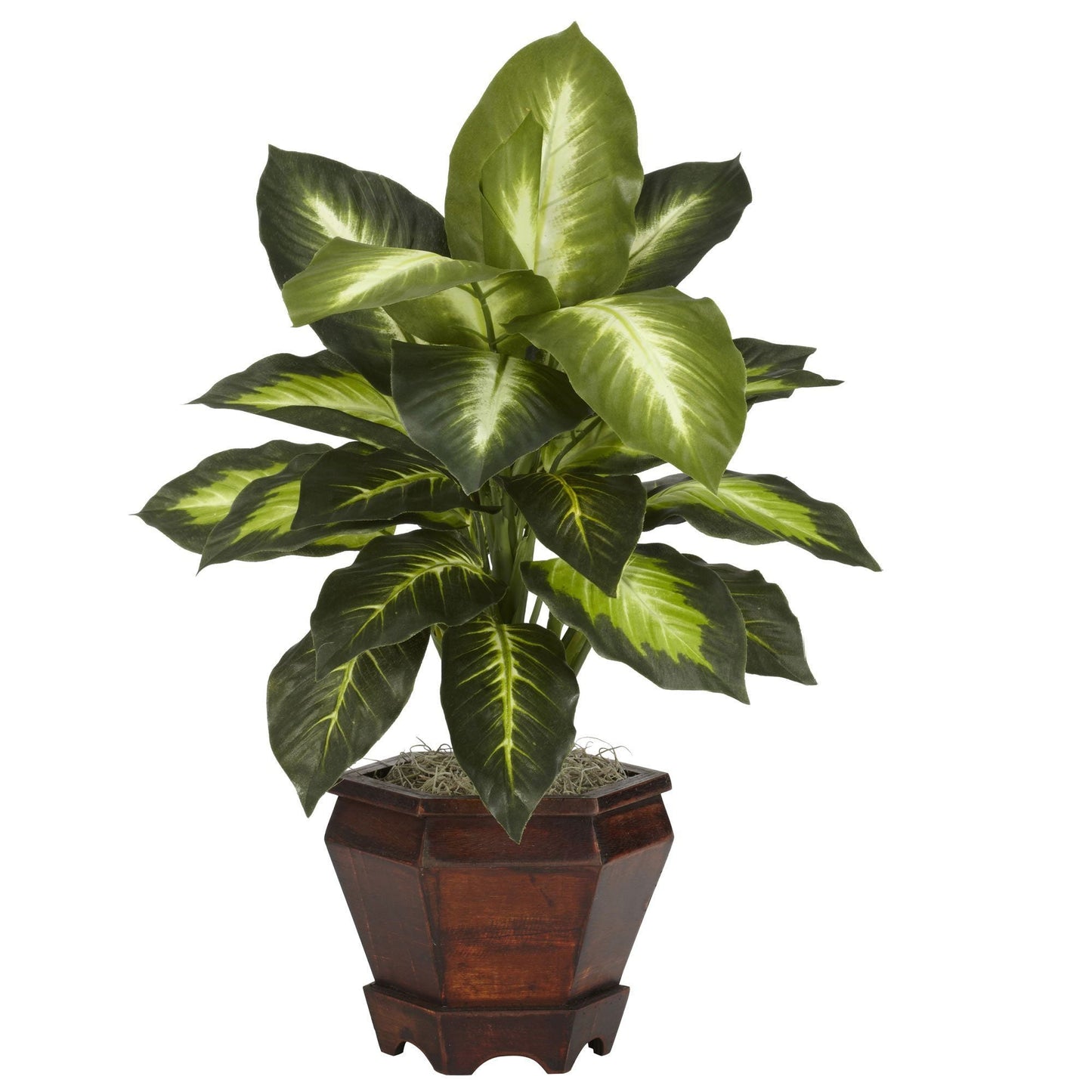 Dieffenbachia avec vase en bois, plante en soie (lot de 2)