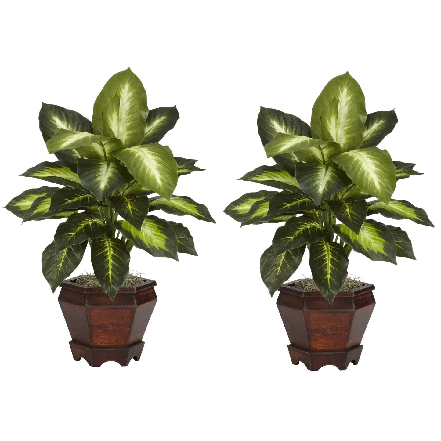 Dieffenbachia avec vase en bois, plante en soie (lot de 2)