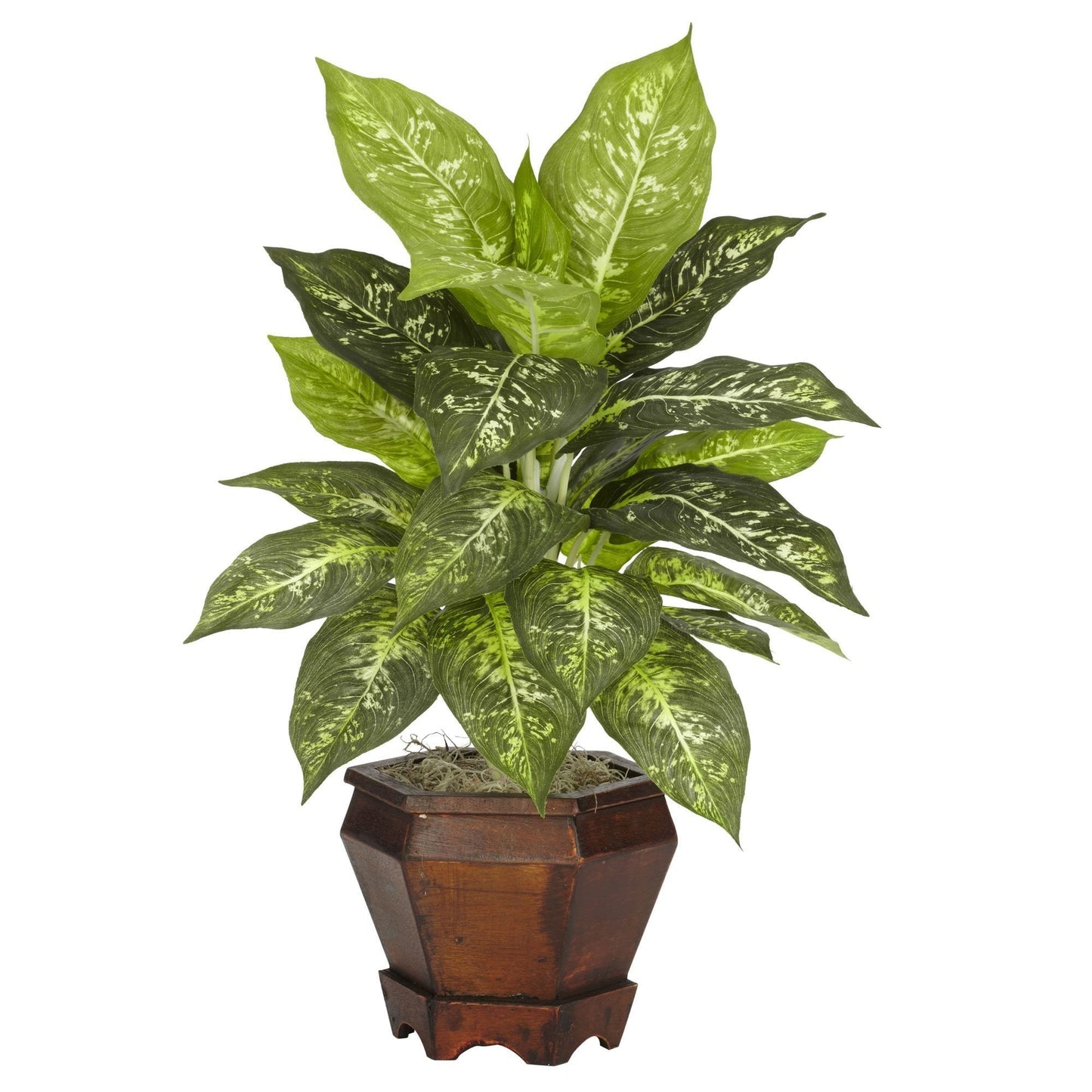 Dieffenbachia avec vase en bois, plante en soie (lot de 2)