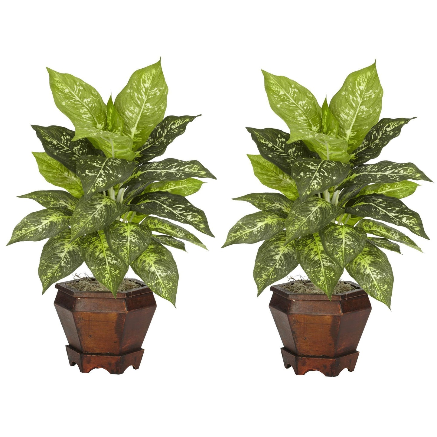 Dieffenbachia avec vase en bois, plante en soie (lot de 2)