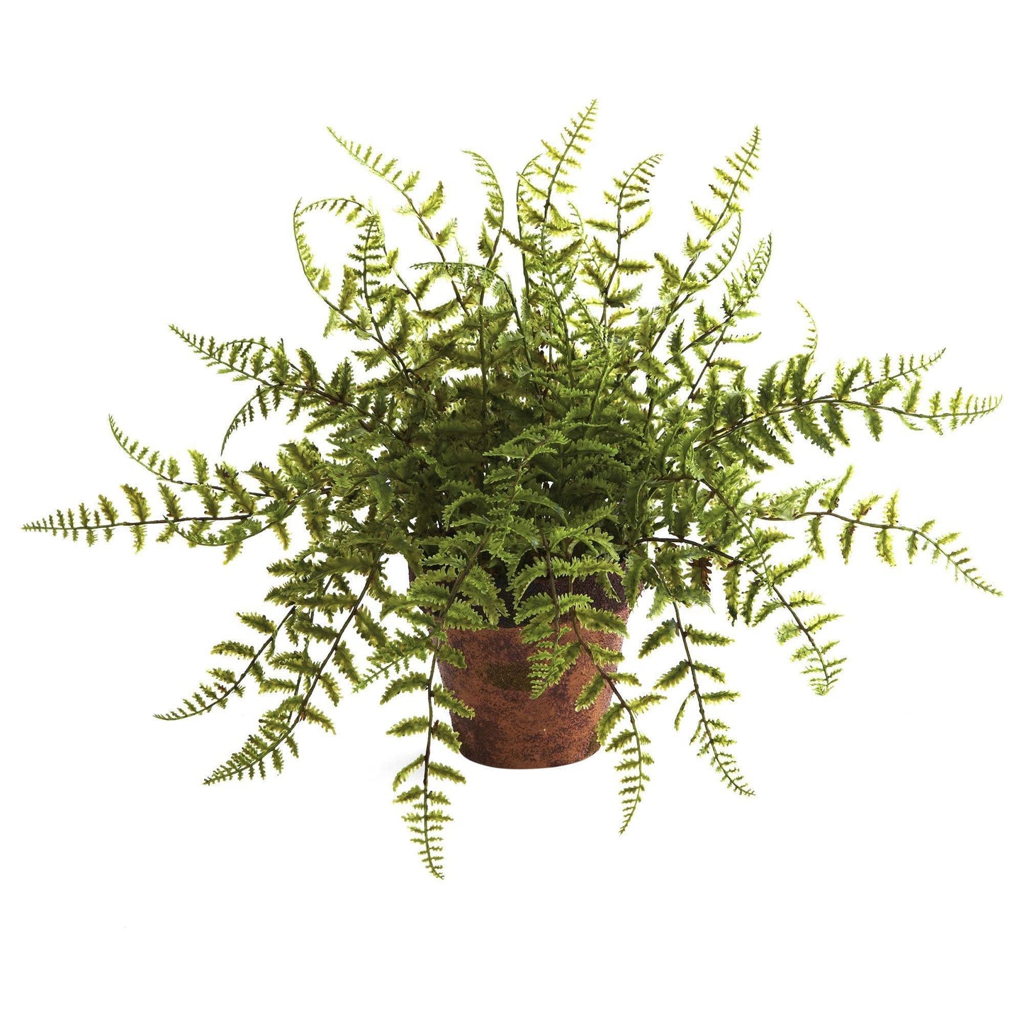 Fougère avec jardinière décorative (lot de 2)