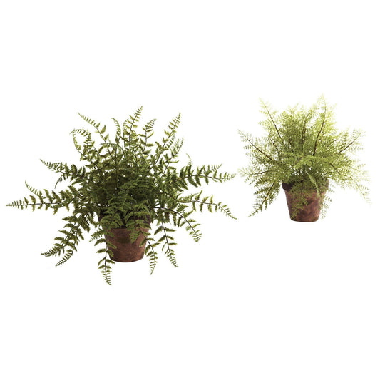 Fougère avec jardinière décorative (lot de 2)