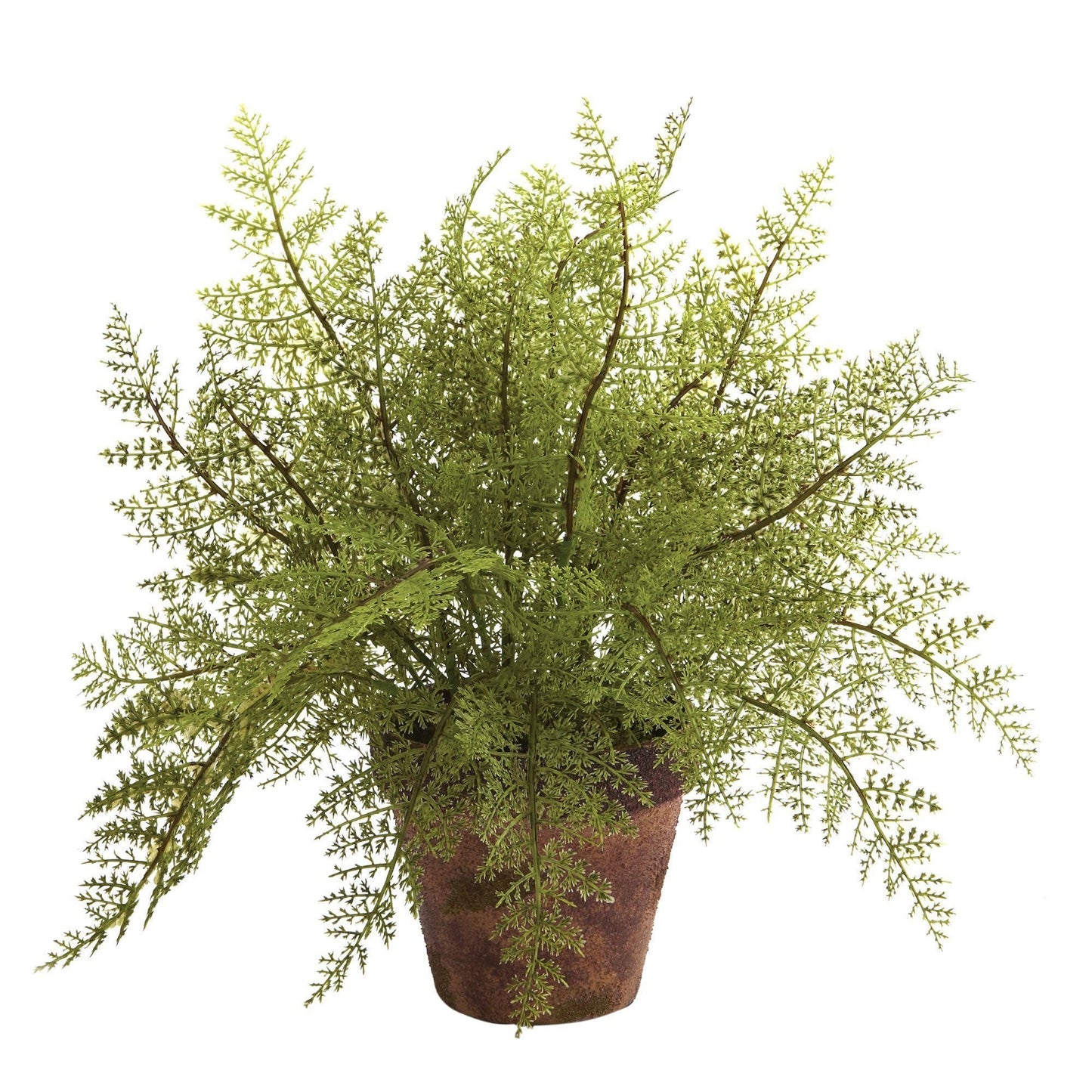 Fougère avec jardinière décorative (lot de 2)