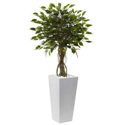 Árbol ficus con macetero blanco resistente a los rayos UV (interior/exterior)