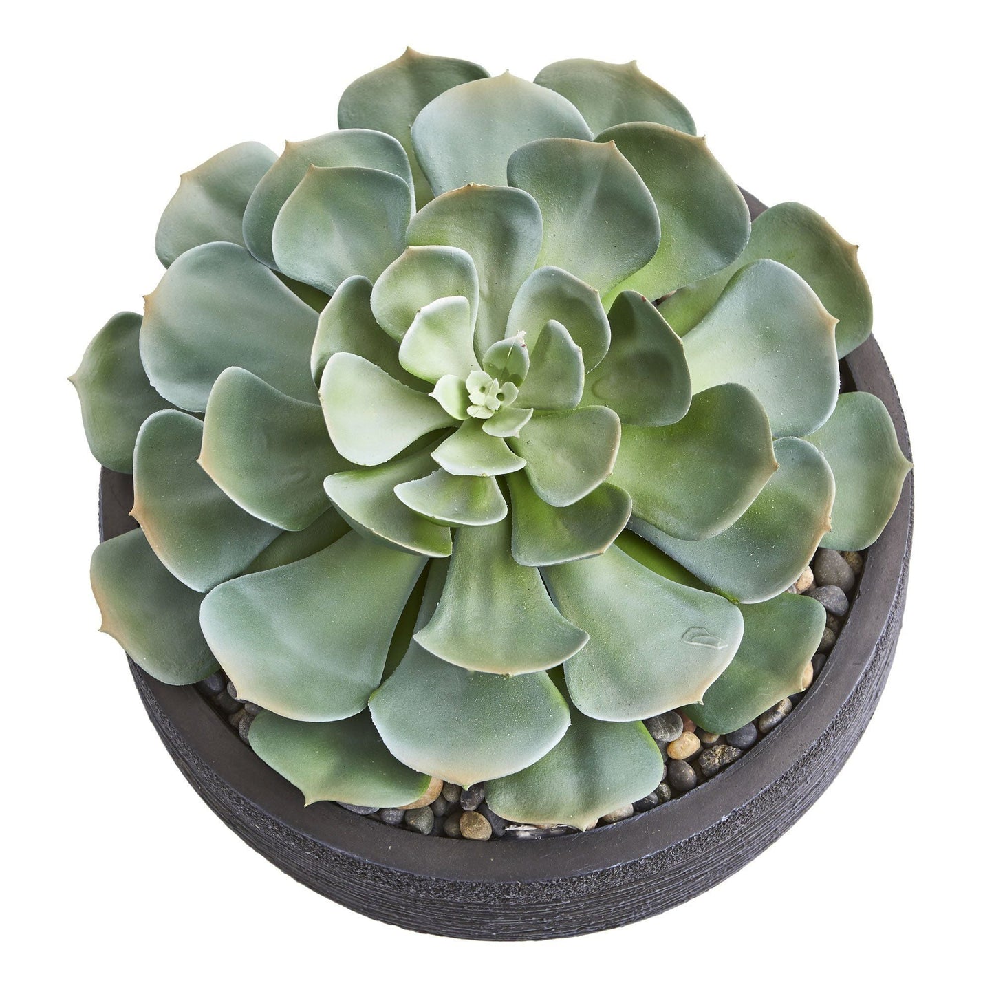 Giant Echeveria Succulent Artificial Plant