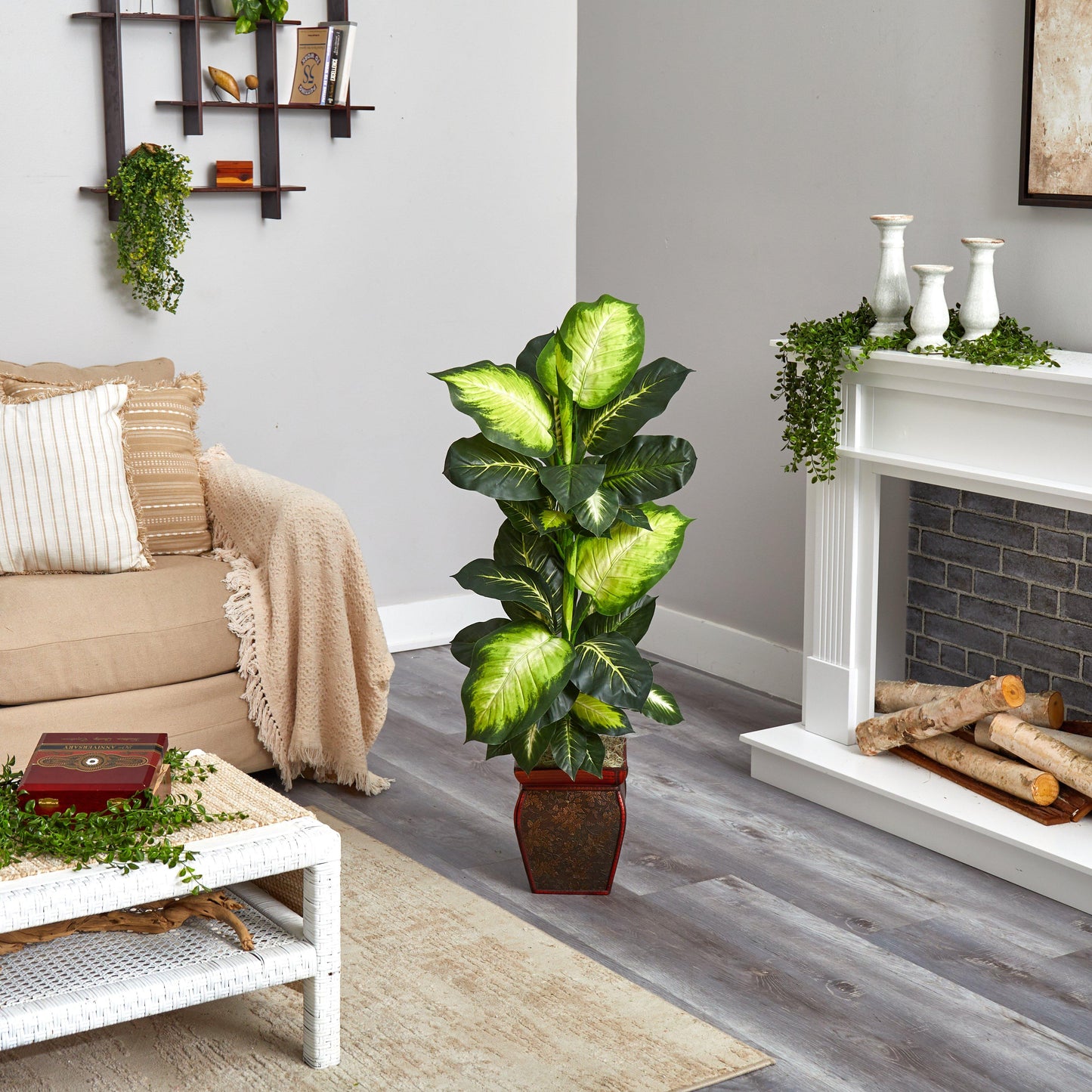 Dieffenbachia doré avec jardinière décorative