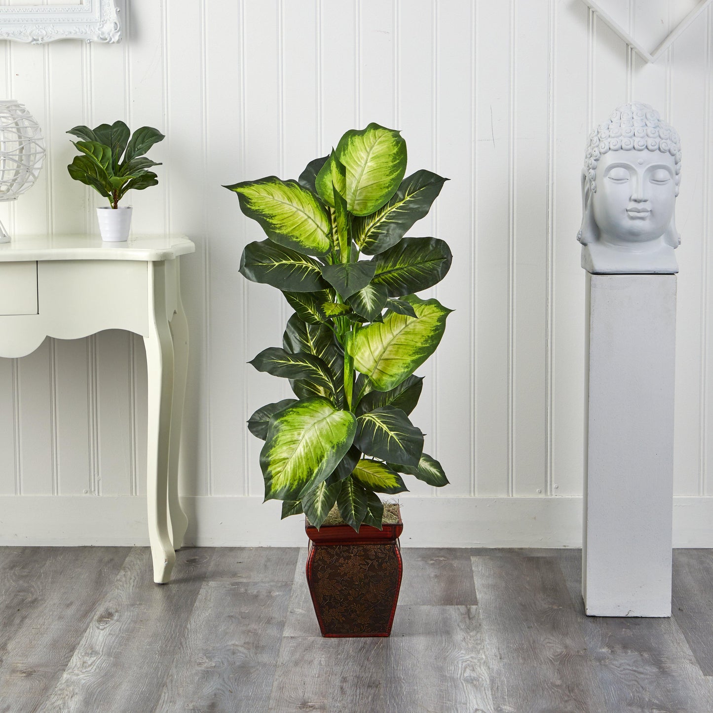 Dieffenbachia doré avec jardinière décorative